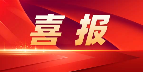 喜報(bào)！熱烈祝賀我司榮獲江蘇省“專精特新”企業(yè)稱號(hào)