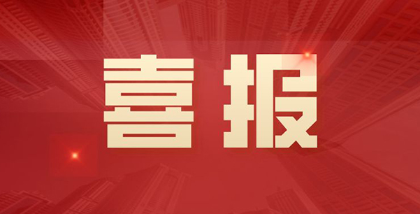 喜報(bào)！華日升公司榮獲各級表彰